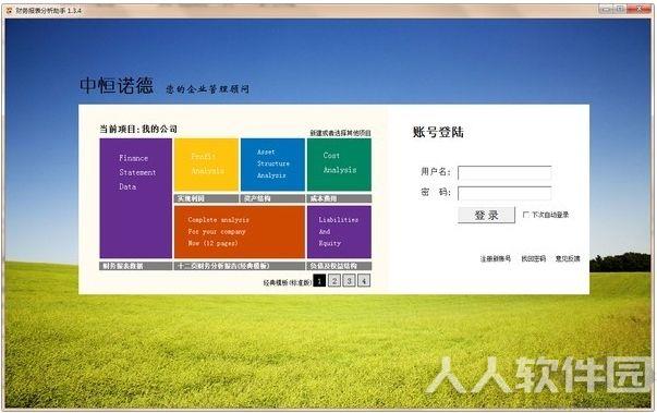 财务报表分析助手