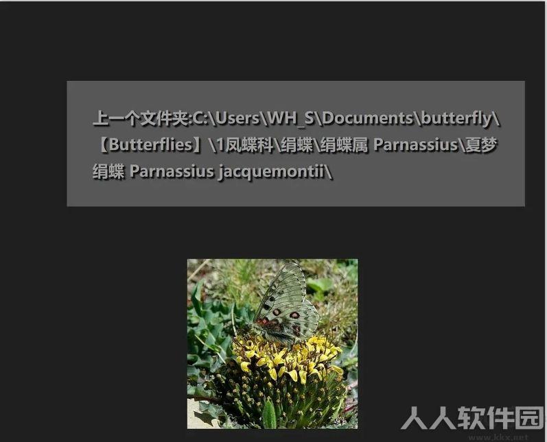 Honeyview(看图软件)