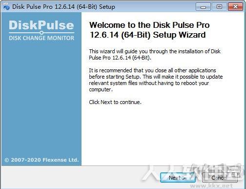 Disk Pulse Pro(磁盘监测工具)