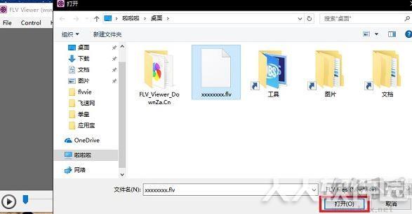FLV Viewer