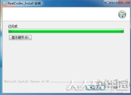 realcodec播放器插件