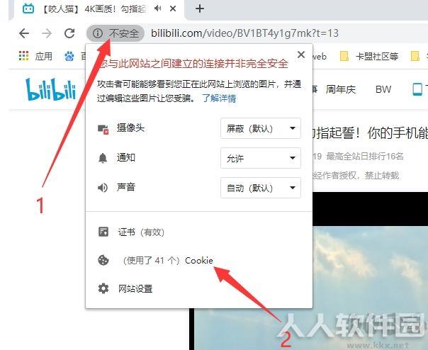 哔哩哔哩视频下载器