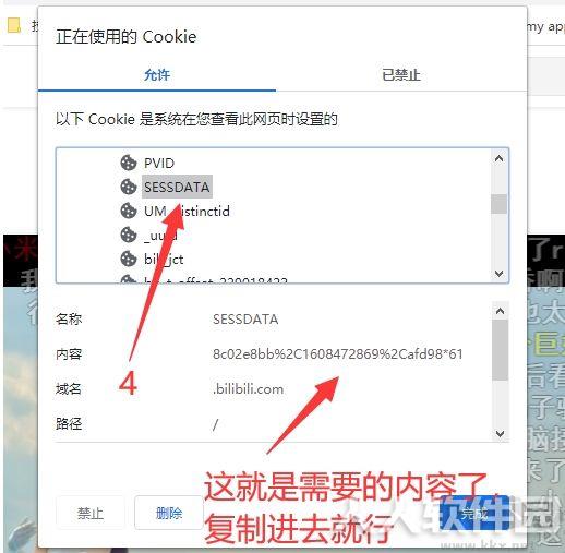 哔哩哔哩视频下载器