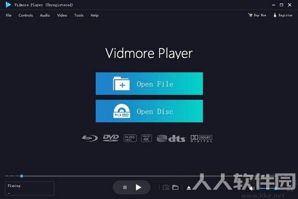 Vidmore Player