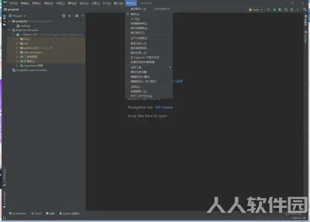 Pycharm2020.2中文包