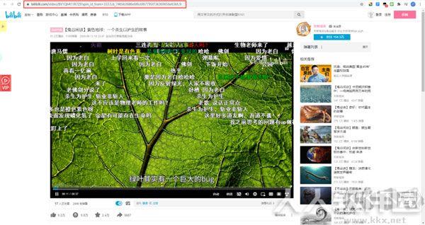 哔哩下载姬
