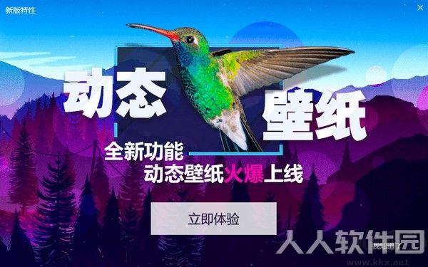 小鸟壁纸软件