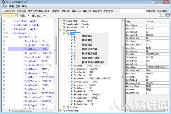 HiJson下载