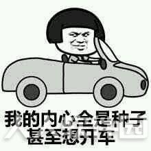 开车表情包