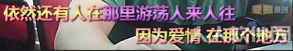 拍大师官方下载