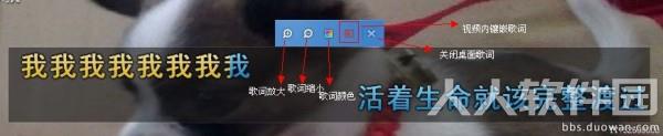 yy伴侣官方下载