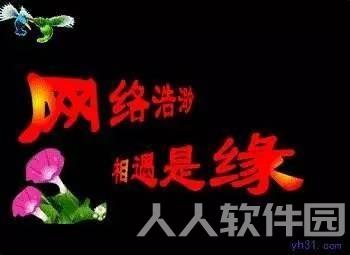 老年人gif动态表情包