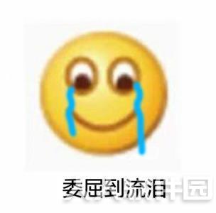 我觉得我很委屈表情包