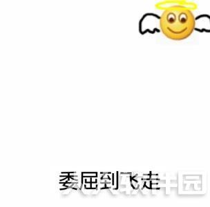 委屈表情包