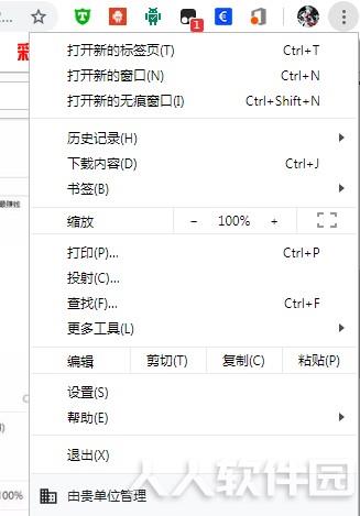谷歌浏览器官方绿色版使用说明4