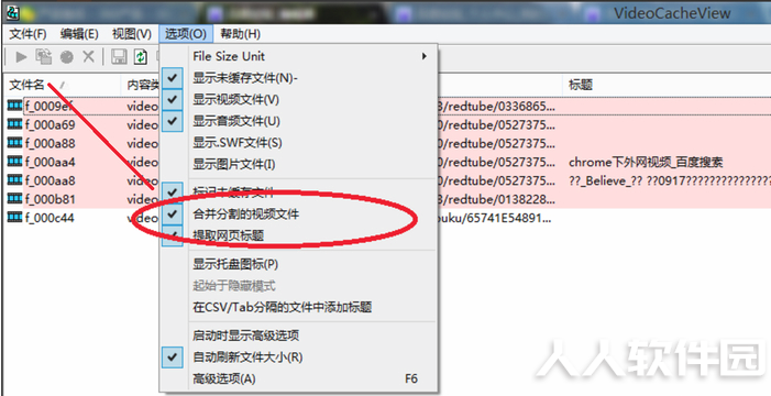 VideoCacheView(浏览器缓存提取器)