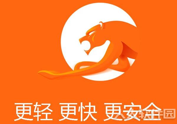 猎豹浏览器官方下载截图
