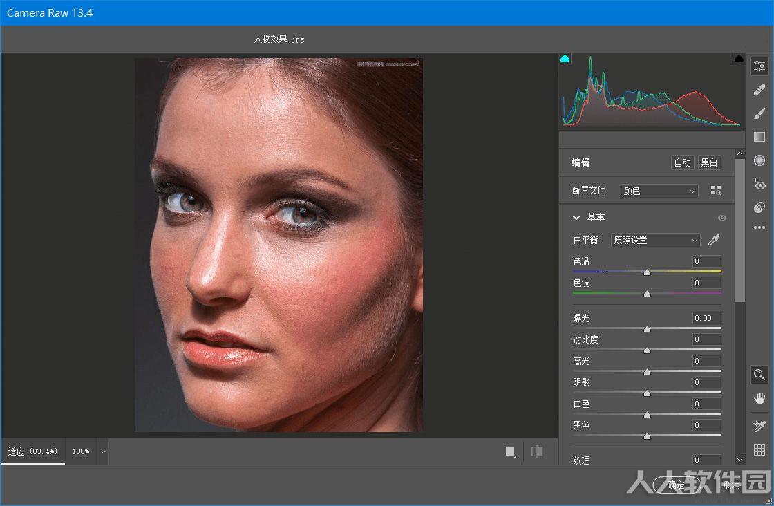Adobe Camera Raw插件