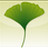 Ginkgo CADx Pro v3.7.3 中文免费版