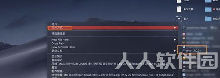 IINA播放器Windows版下载