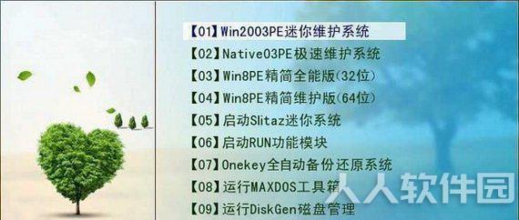 天意pe破解版