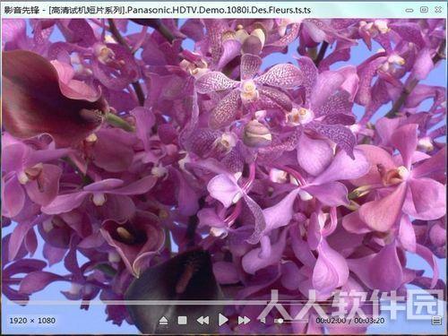 影音先锋电影下载