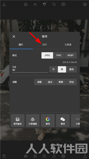 泼辣修图网页版怎么去水印