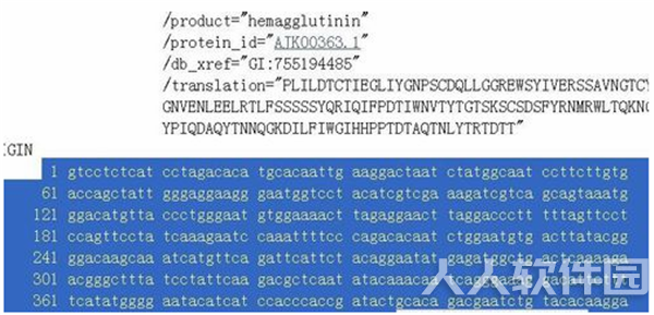 dnastar软件打开基因序列方法1