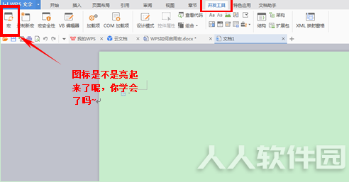 wps的vba模块下载
