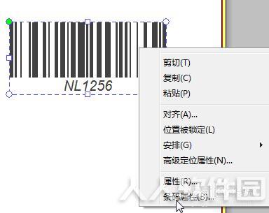 NiceLabel免费版字符怎么调整