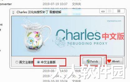 Charles绿色中文版