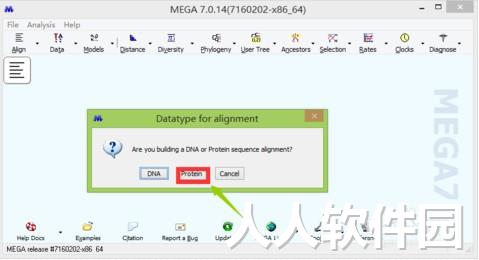 mega进化树软件