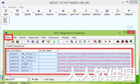mega进化树软件