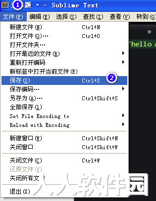 SublimeText免安装版下载