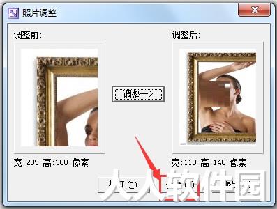 1寸照片生成器