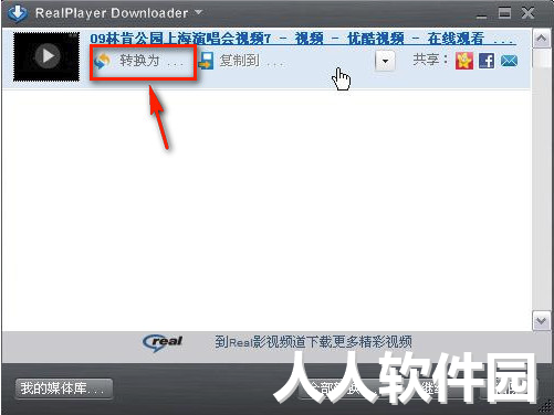 RealPlayer截图