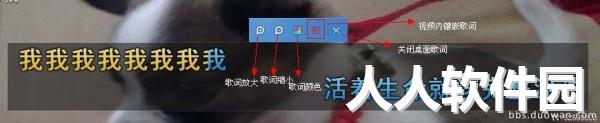 yy伴侣下载