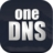 oneDNS V2.0绿色版