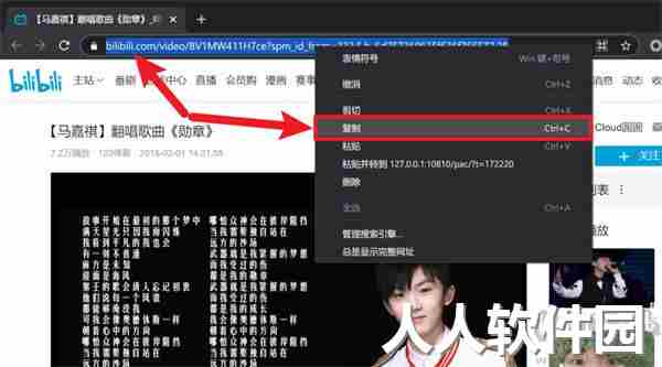 CR TubeGet(网站视频下载工具)