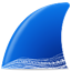 Wireshark抓包工具 v3.6.2绿色版