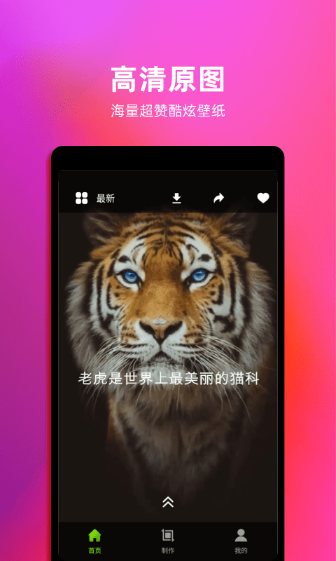 live动态壁纸官方版下载