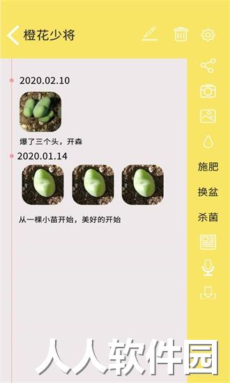 多肉花草日记app下载