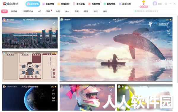小鸟壁纸电脑版