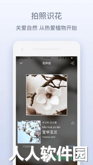 花伴侣植物识别