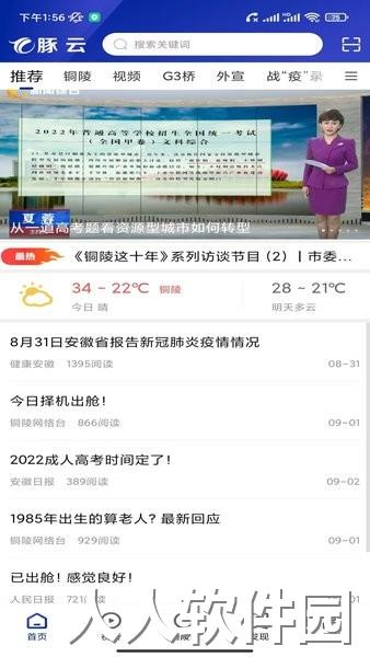 豚云铜陵新闻