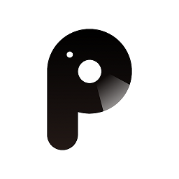 P2 Pro官方版v1.0.9.230213 安卓版