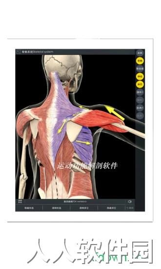 3d body安卓版下载