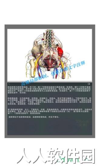 3d body app下载