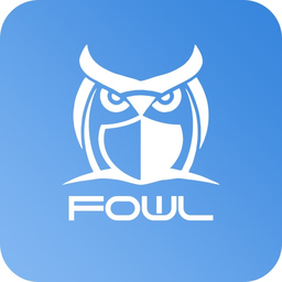 fowl摄像头v3.0.16 安卓版