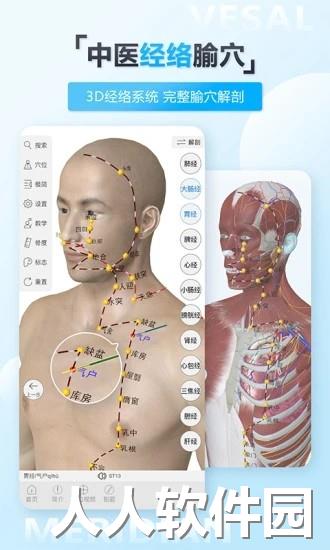 维萨里3d解剖教学app下载